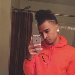 Meet your Posher, Raphael